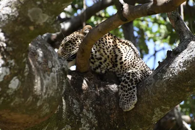 DSC_3962 (Large).JPG